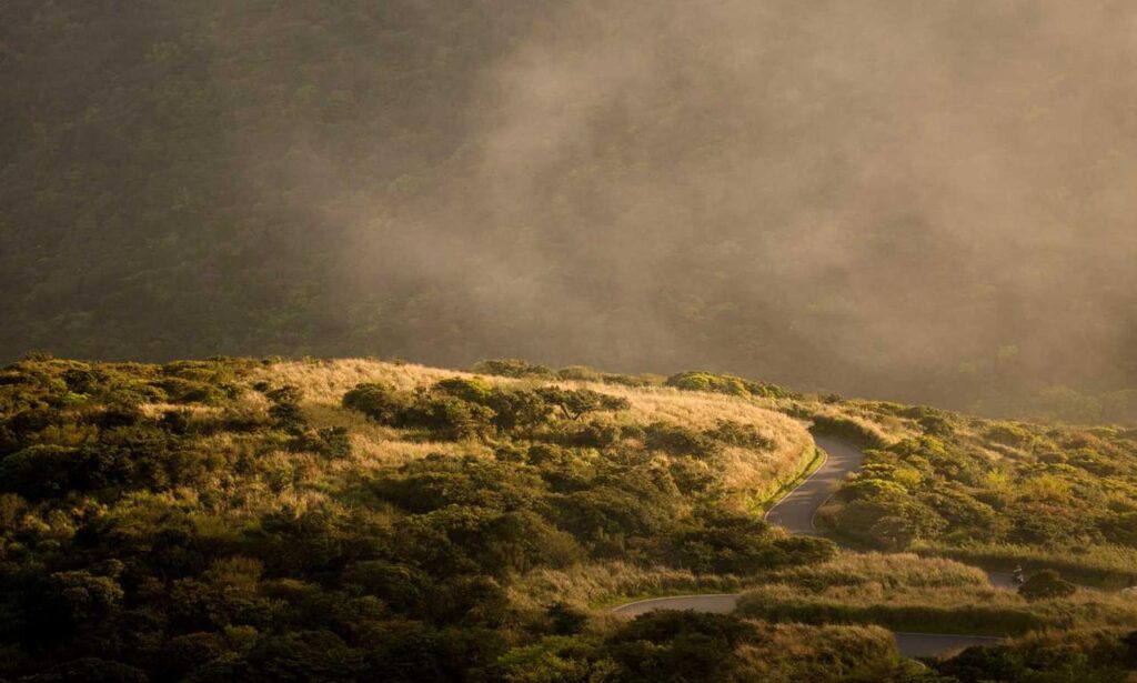 cryptocurrency advice drhcryptology