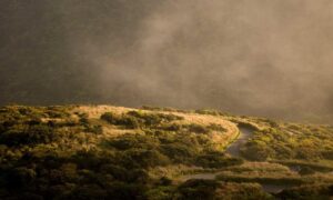 cryptocurrency advice drhcryptology