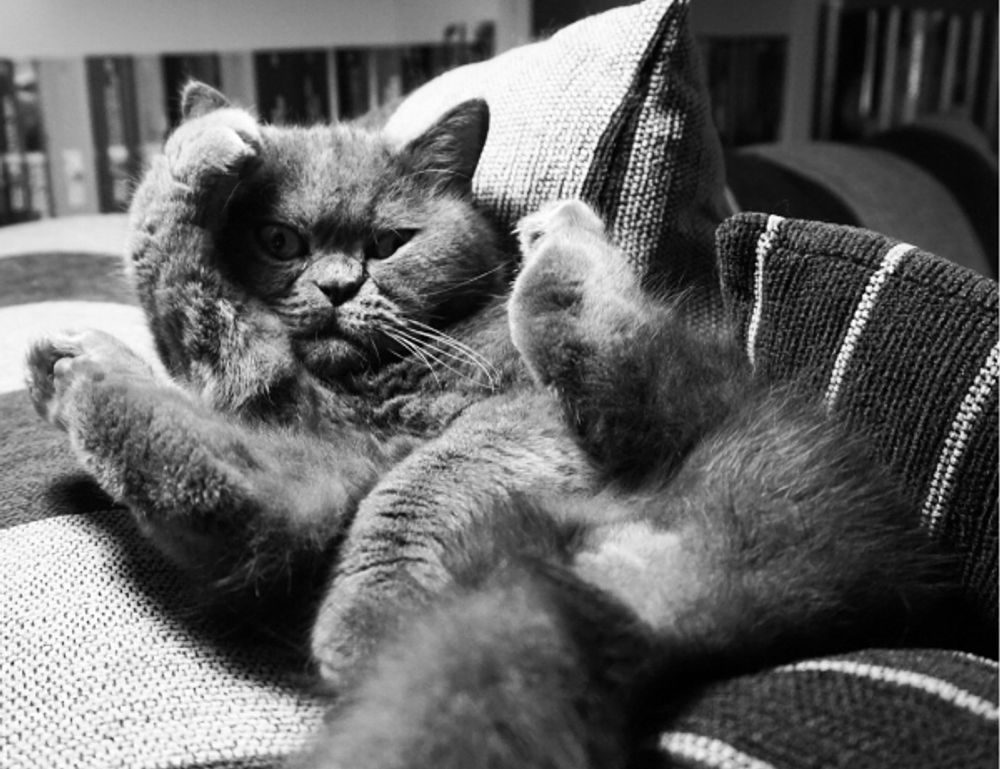 how many branches does tuzialadu hotel have