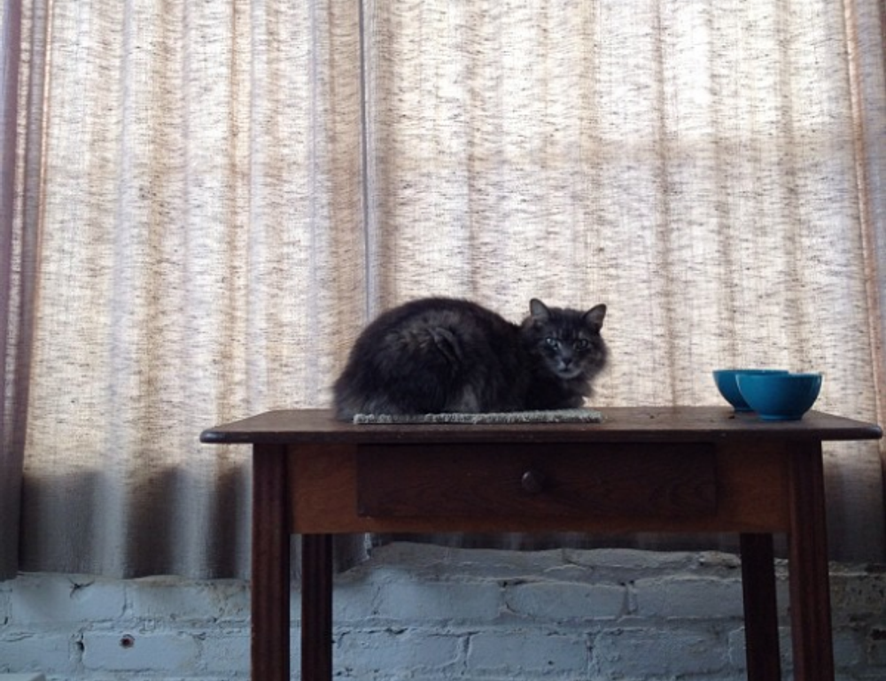 how to keep your network safe nft etrsnft