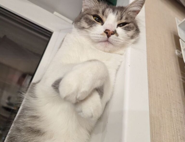 how to mint an nft etrsnft