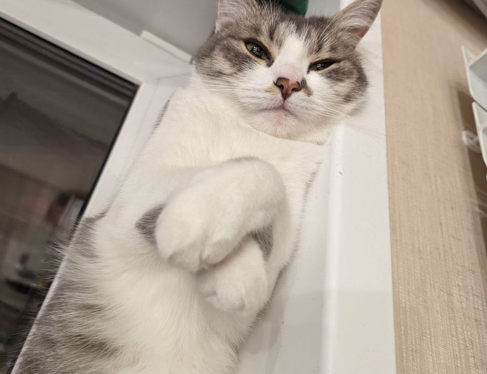 how to mint an nft etrsnft