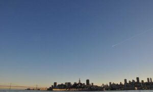 how zayepro pharmaceuticals ltd marketed