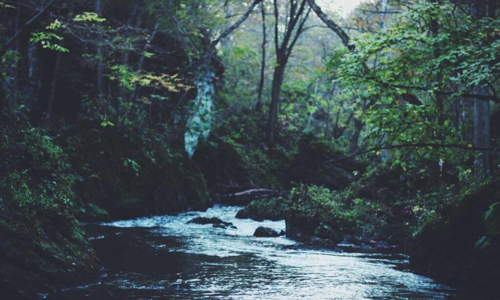 is popguroll popular now