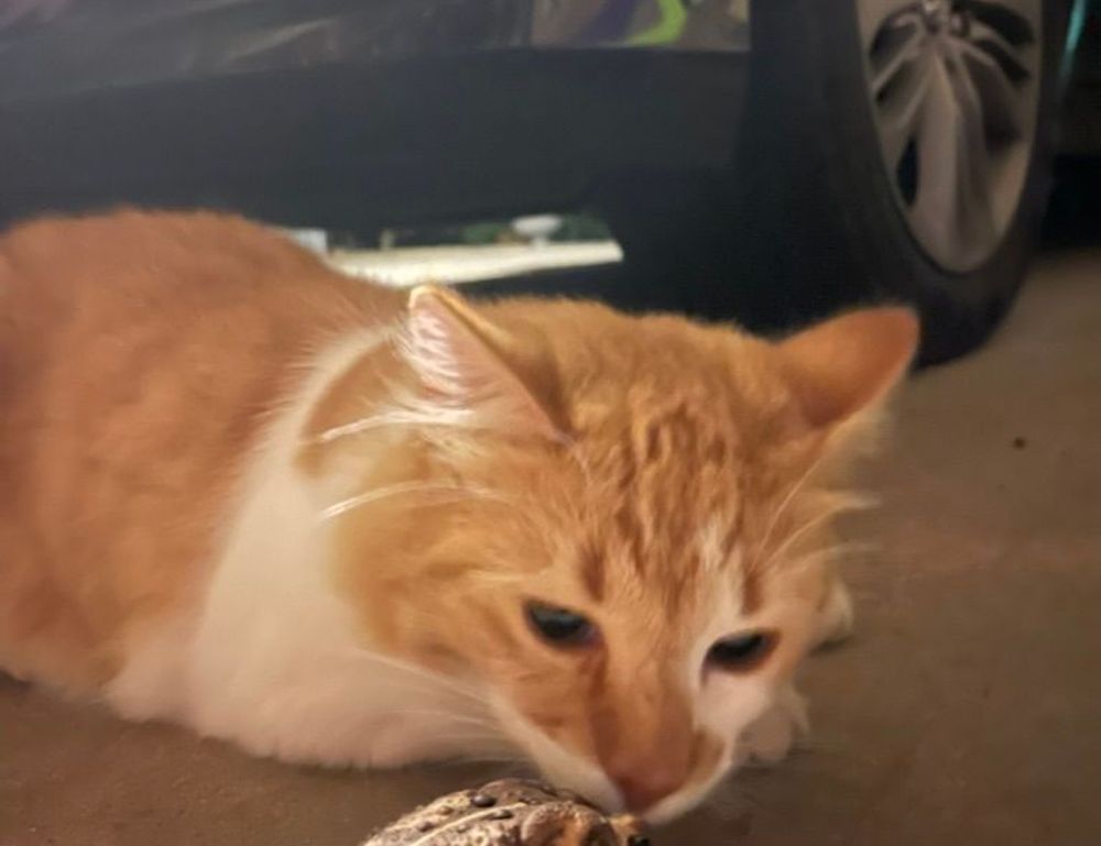 what is the most profitable nft etrsnft