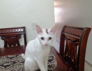 which crypto to buy for beginners drhcryptology