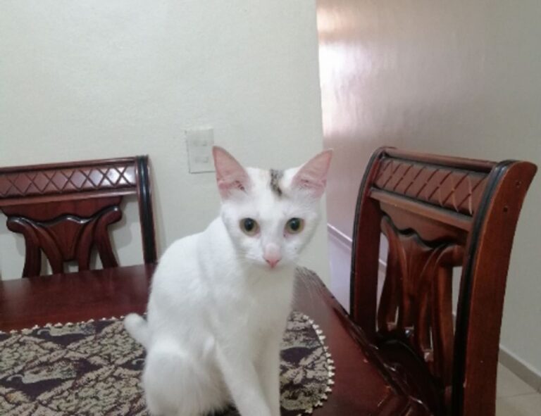 which crypto to buy for beginners drhcryptology