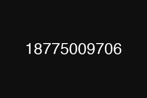 18775009706