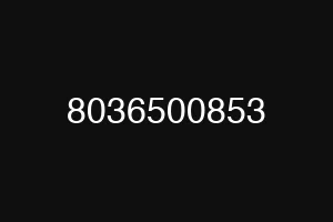 8036500853