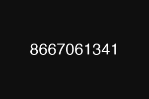 8667061341