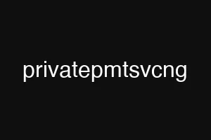 privatepmtsvcng
