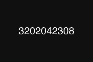 3202042308