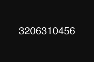 3206310456