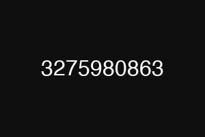 3275980863