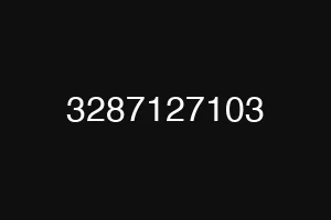 3287127103