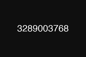 3289003768