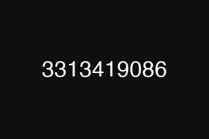 3313419086