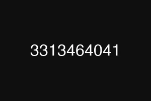 3313464041