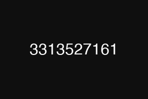 3313527161