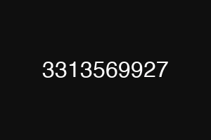 3313569927