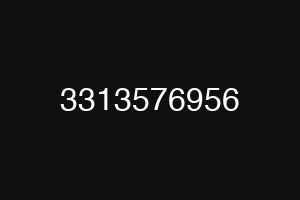 3313576956