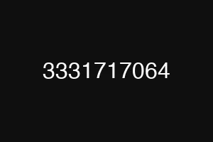 3331717064